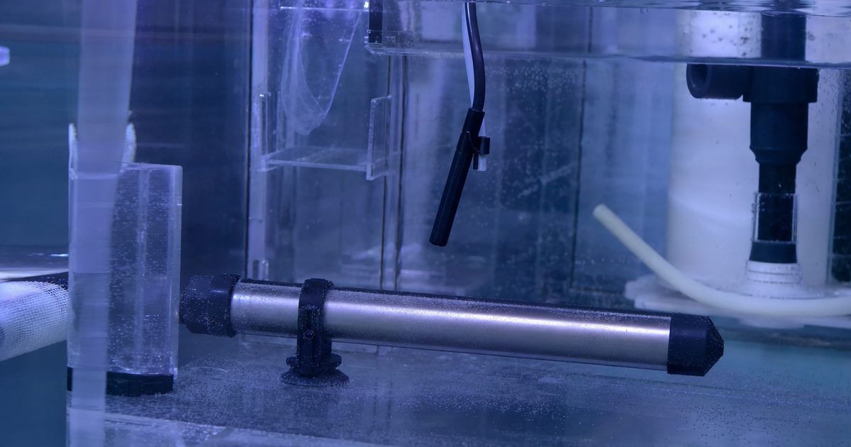 A titanium aquarium heater submerged inside a reef tank sump with a controller probe nearby.