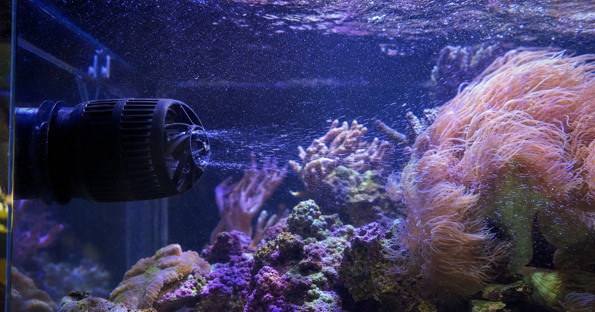 A wavemaker powerhead mounted inside a reef aquarium creating water flow that sways the surrounding corals.